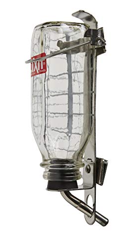 Lixit 32oz Glass Bottle