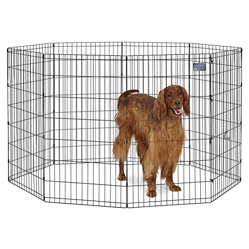 Complete Portable Dog Playpen Setup for Spring Adventures (2026 Guide)