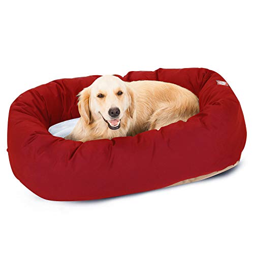 Best Cooling Dog Beds for Overheating Dogs (2026 Guide)
