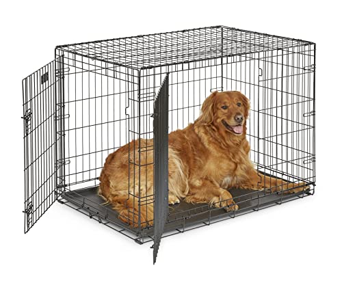 MidWest Homes for Pets 42-Inch Two-Door iCrate Folding Dog Crate with Divider Panel, Leak-Proof Tray & Secure Latches  Metal Wire Kennel for Large Breeds  Portable, Durable & Easy to Assemble