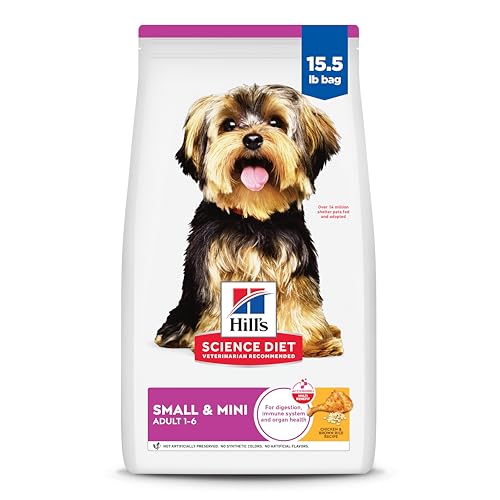 Best Dry Dog Foods for Travel-Friendly Packing (2026 Guide)