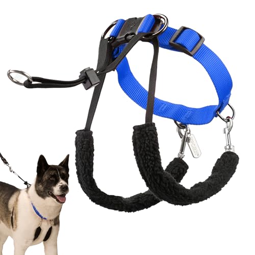 No Pull Dog Harness Medium Size Dog with Blue Padded Sherpa Sleeves, Breathable Training Halter, Provides to All Medium Sized Breeds by Sporn