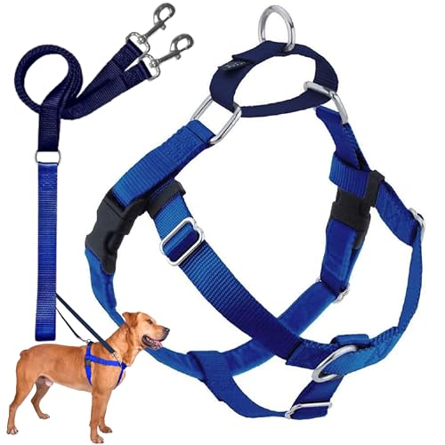 2 Hounds Design Freedom No Pull Dog Harness, Adjustable Harness and Leash Set, Easy Walking & Comfortable Control, Fits Small, Medium & Large Dogs, Solid Colors, Made in USA, 1" XL, Royal Blue