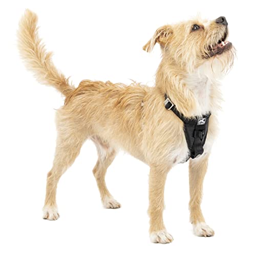 Kurgo Tru-Fit (X-Small)