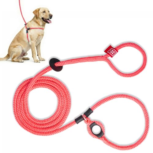 Harness Lead No Pull (Pink)