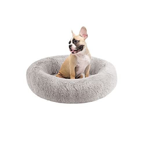Friends Forever Serena Donut Memory Foam