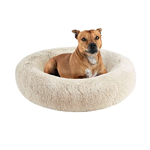 Friends Forever Serena Donut Memory Foam