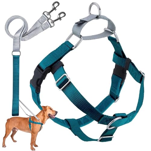 2 Hounds Design Freedom No Pull Dog Harness, Adjustable Harness and Leash Set, Easy Walking & Comfortable Control, Fits Small, Medium & Large Dogs, Solid Colors, Made in USA, 5/8" MD, Teal