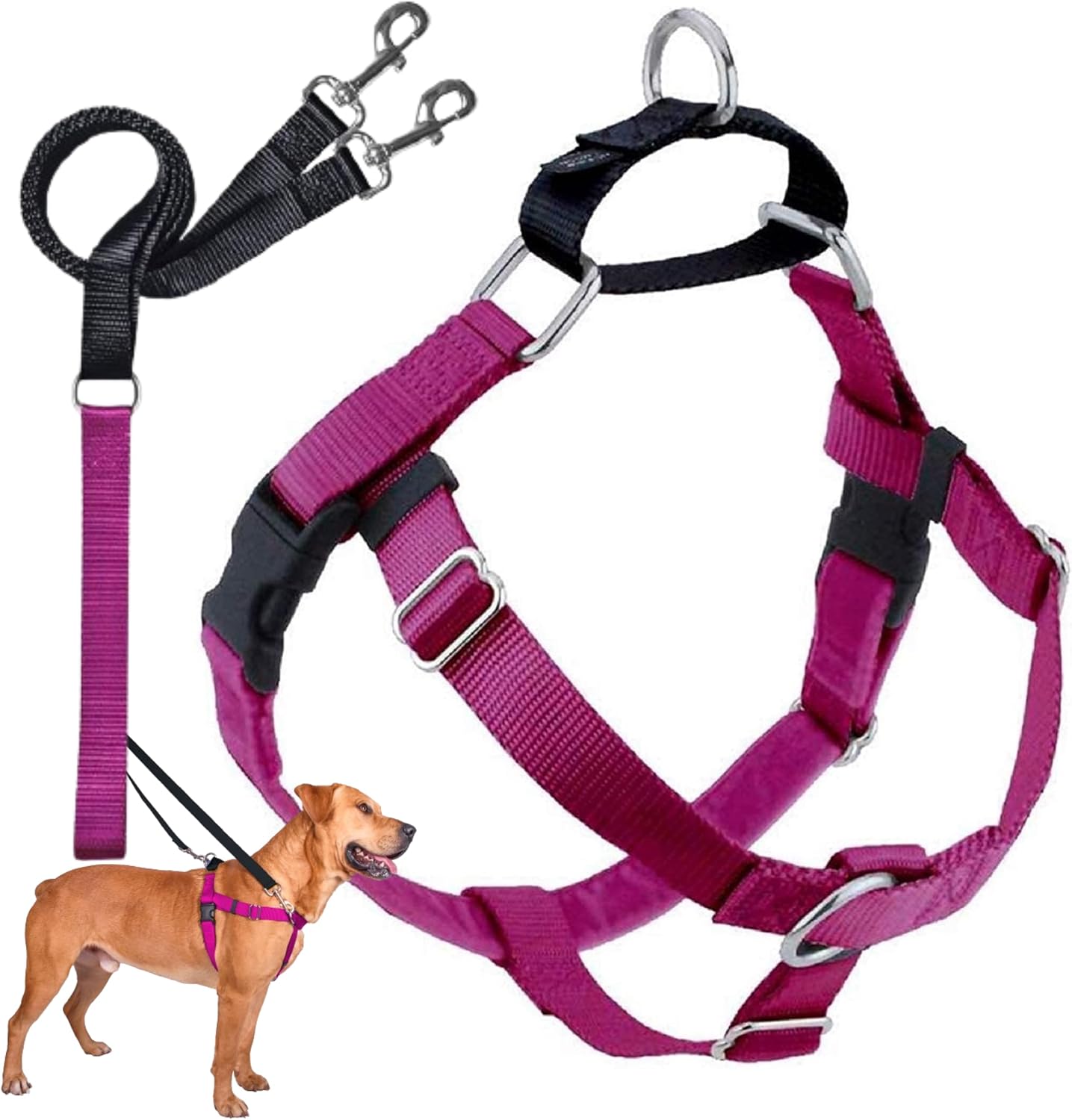 Best No-Pull Harnesses for Strong Fall Hikers (2026 Guide)
