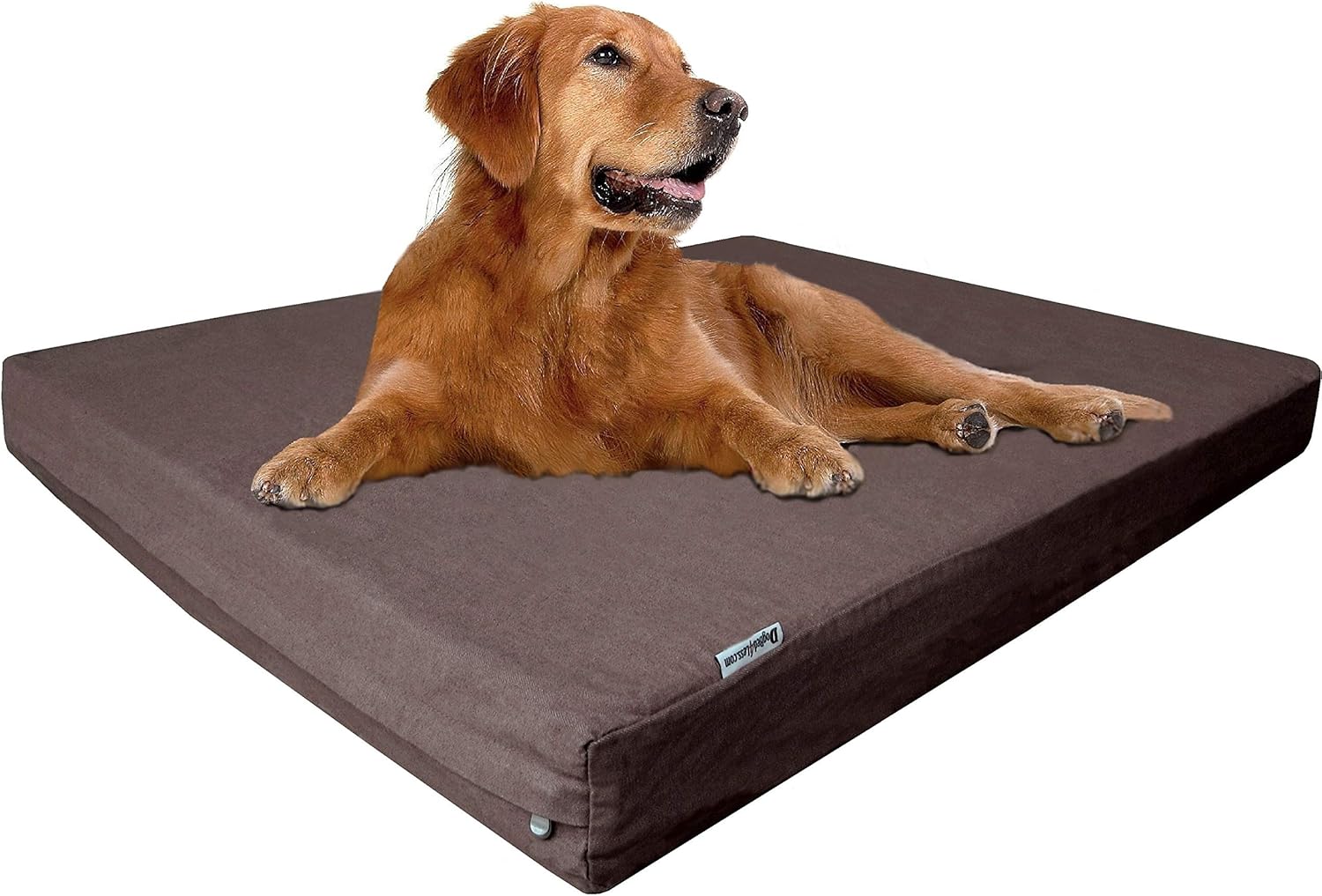 Dogbed4less 47x29x4 Memory Foam (Brown)