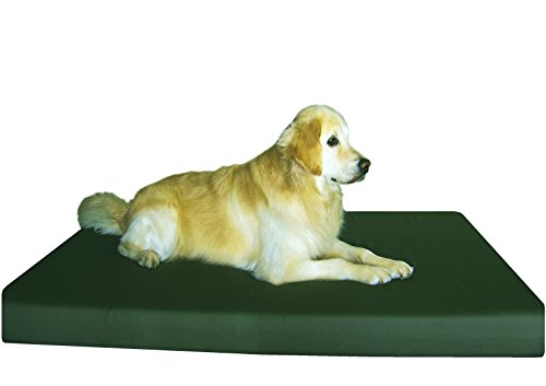 Dogbed4less 55x37 Gel Bed