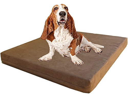Dogbed4less 47x29 Gel Memory Foam