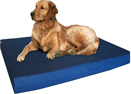 Dogbed4less Orthopedic Memory Foam Dog Bed (41x27)