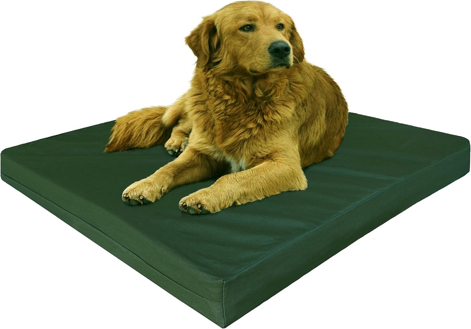 Dogbed4less XL Orthopedic Bed