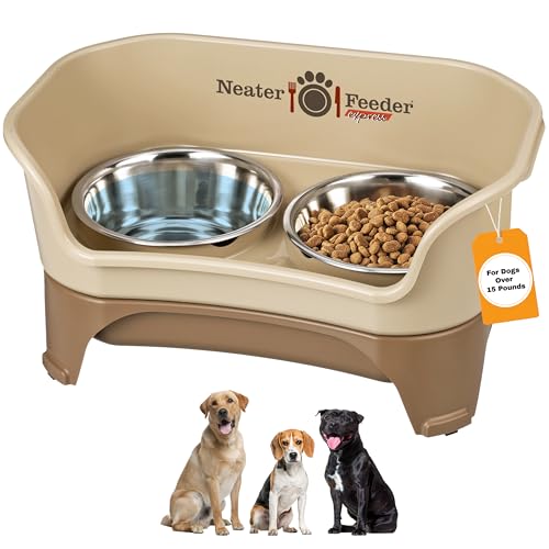 Best Elevated Feeders for Large Dogs (2026 Guide)