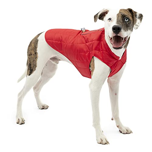 Kurgo Loft Dog Jacket - Reversible Cozy Coat for Outdoor Adventures - Water Resistant - Athletic Fit - Machine Washable Fabric - Reflective Dog Gear - Large - Chili Red