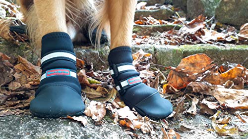 Bark Brite Neoprene Paw Protector (Black XL)