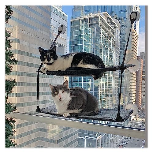 Best Cat Beds for Tall & Window-View Cats (2026)