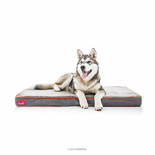 Brindle 4" Memory Foam Bed