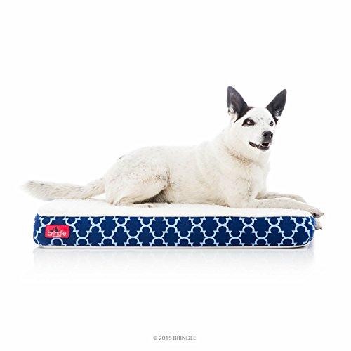 Brindle Memory Foam Pet Bed