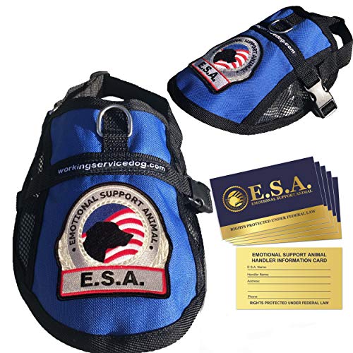 Premium Emotional Support Dog Vest | ESA Dog Vest | Mesh Cooling Panel | Emotional Support Dog Harness | Includes 5 Federal Law ESA Handout Cards (23" - 27" Girth, Blue)