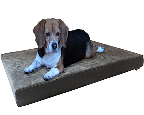 Dogbed4less Orthopedic Gel Infused (Gray)