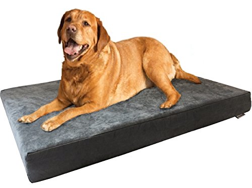 XL Orthopedic Waterproof Durable Dog Bed for Medium to Large Dogs with Cool Memory Foam Pad, Microsuede in Gray, 40"X35"X4"