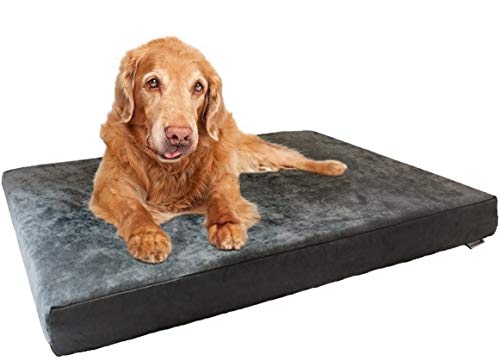 Dogbed4less Orthopedic Gel Memory Foam Pet Dog Bed, Waterproof Liner with External Microsuede Cover and Bonus Antislip Cover (Microsuede Gray, 55"X37"X4" Inches)