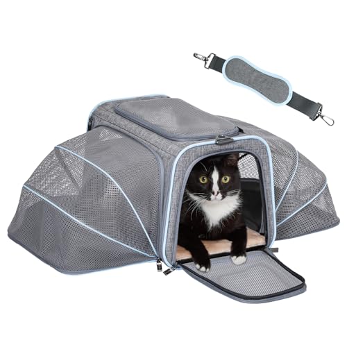 Petsfit Expandable Large Cat Carrier Small Dog Carriers Airline Approved, 17" Lx 11" Wx 11" H Soft-Sided Portable Washable Pet Travel Carrier with 2 Extension for Kittens, Puppies, Rabbits