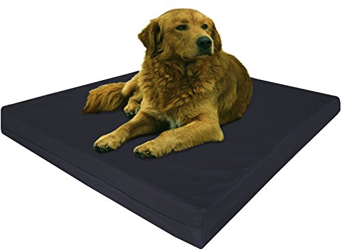 Dogbed4less 47x29 Canvas Bed