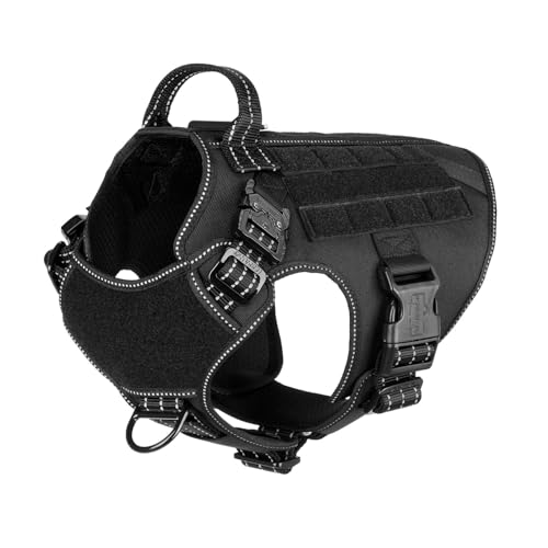 Best Dog Harnesses Under $30 (2026)