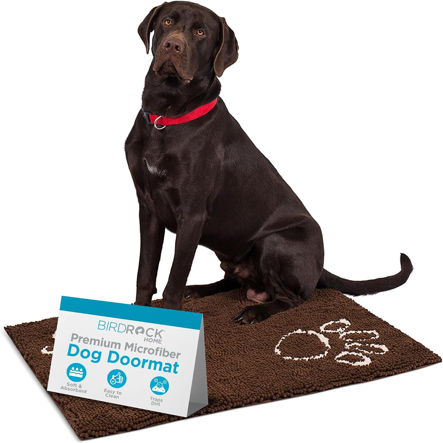 BIRDROCK Home Chenille Doormat