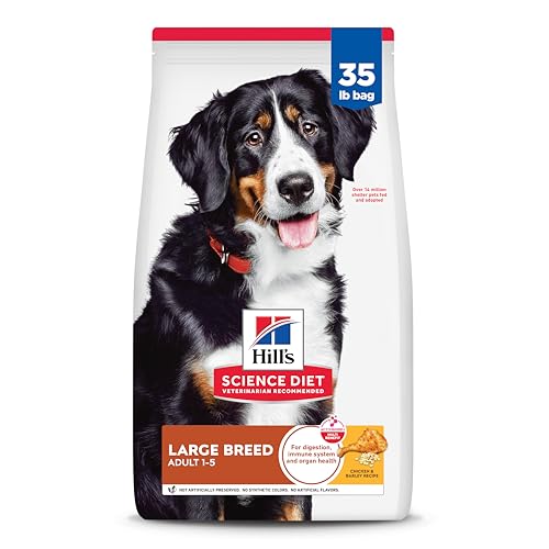 Best Dry Dog Foods for Large Breeds with Joint Support (2026)