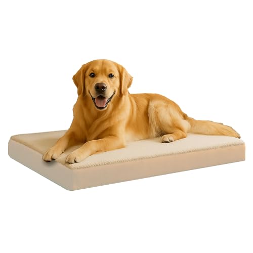 Best Orthopedic Dog Bed Mats for Multi-Dog Homes (2026)