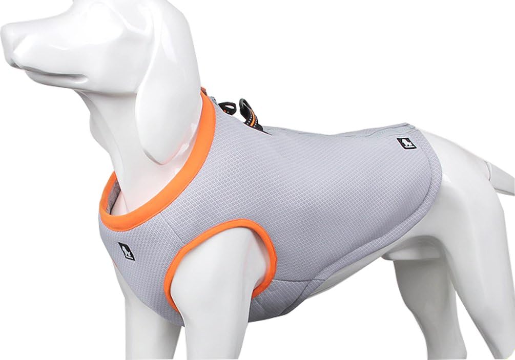 SGODA Grey Orange Medium