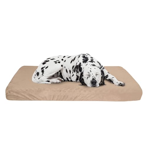 PETMAKER Memory Foam Dog Bed - 2-Layer Orthopedic Pet Pad with Machine Washable Cover - 37x24 Pet Bed for Large Dogs (Tan)