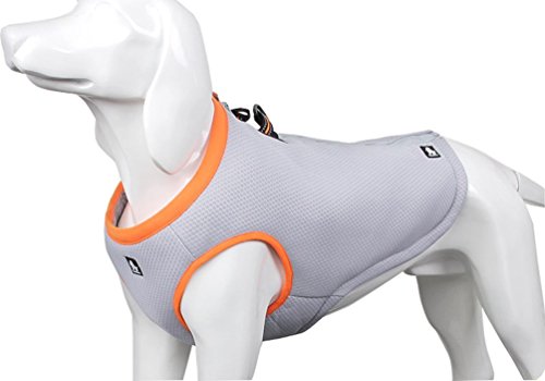 Best Cooling Vest + Bed Combos for Hikes & Hot Days (2026)