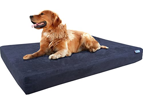 Dogbed4less True Orthopedic XL (Microsuede)