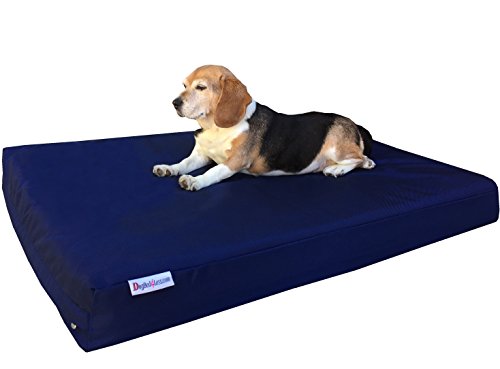 Dogbed4less 37x27x4 Orthopedic Bed