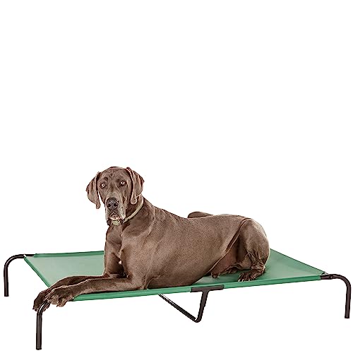 Amazon Basics Cooling Breathable Elevated Dog Bed with Durable Metal Frame, for Large Dogs, X-Large, 60 x 37 x 9 Inch, Green