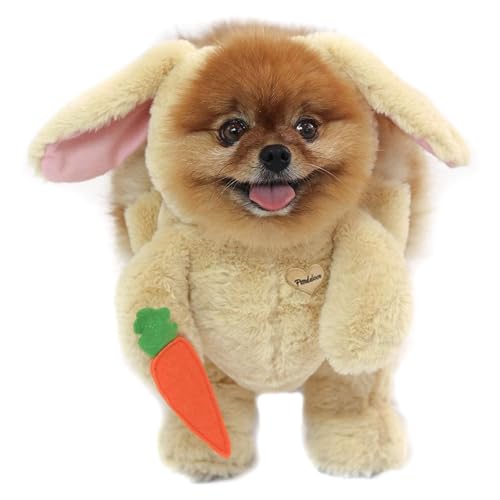 Pandaloon Teddy Costume