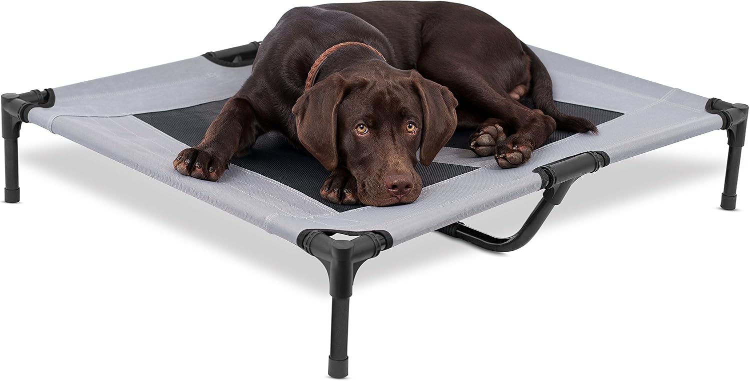 Internet's Best Dog Cot
