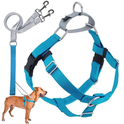 2 Hounds Design Freedom No Pull Dog Harness, Adjustable Harness and Leash Set, Easy Walking & Comfortable Control, Fits Small, Medium & Large Dogs, Solid Colors, Made in USA, 5/8" XS, Turquoise