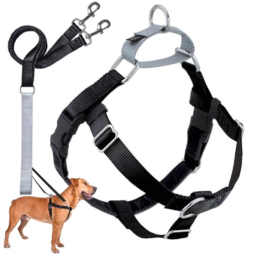 No-Pull vs Step-In vs Vest Harnesses for Fall Walks (2026 Comparison)