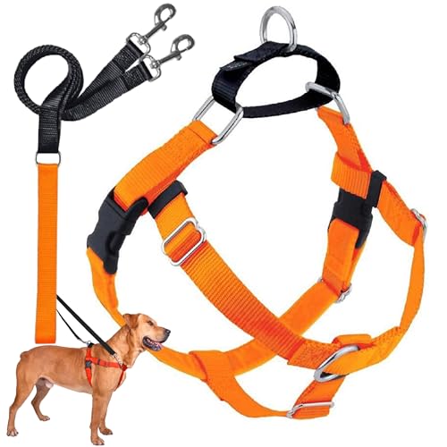 2 Hounds Design Freedom No Pull Dog Harness, Adjustable Harness and Leash Set, Easy Walking & Comfortable Control, Fits Small, Medium & Large Dogs, Solid Colors, Made in USA, 1" MD, Neon Orange