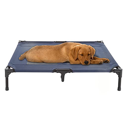 Best Foldable & Packable Elevated Beds for Beach Trips (2026)