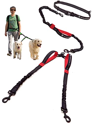 Exquisite Hands Free Double Leash