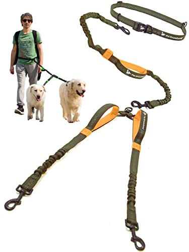 Pet Dreamland Exquisite Hands Free Double Dog Leash for Two Dogs with Tangle-Free Swivel. Premium Quality & Versatile for Running. You Will Absolutely Love This Amazing Waist Leash (Khaki & Orange)