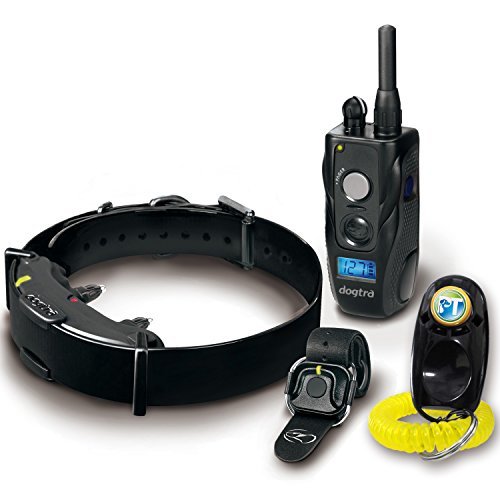 Dogtra ARC HANDSFREE Plus