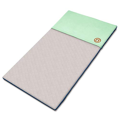 GuineaDad Liner | Guinea Pig Fleece Cage Liners | Guinea Pig Bedding | Burrowing Pocket Sleeve | Extra Absorbent Bamboo | Waterproof Bottom (Midwest, Sea Green)